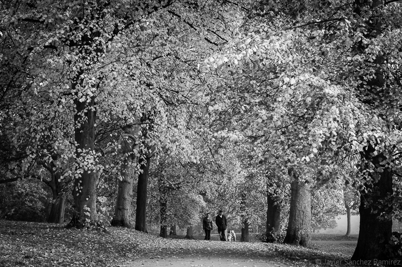 Roundhay Park in autumn